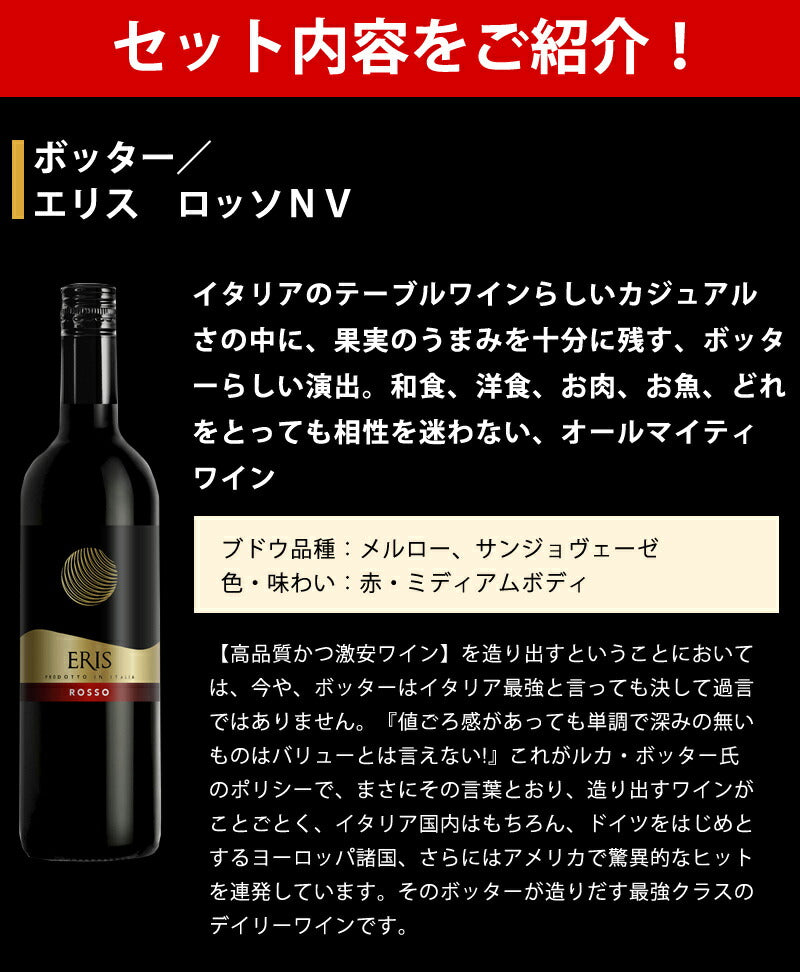 【送料無料】コスパ抜群！ 当店厳選 欧州赤ワイン 750ml×6本セット【北海道・東北・九州・四国・沖縄県は必ず送料が掛かります】