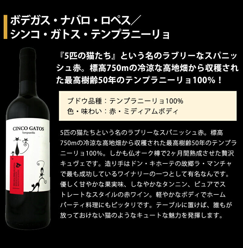 【送料無料】コスパ抜群！ 当店厳選 欧州赤ワイン 750ml×6本セット【北海道・東北・九州・四国・沖縄県は必ず送料が掛かります】