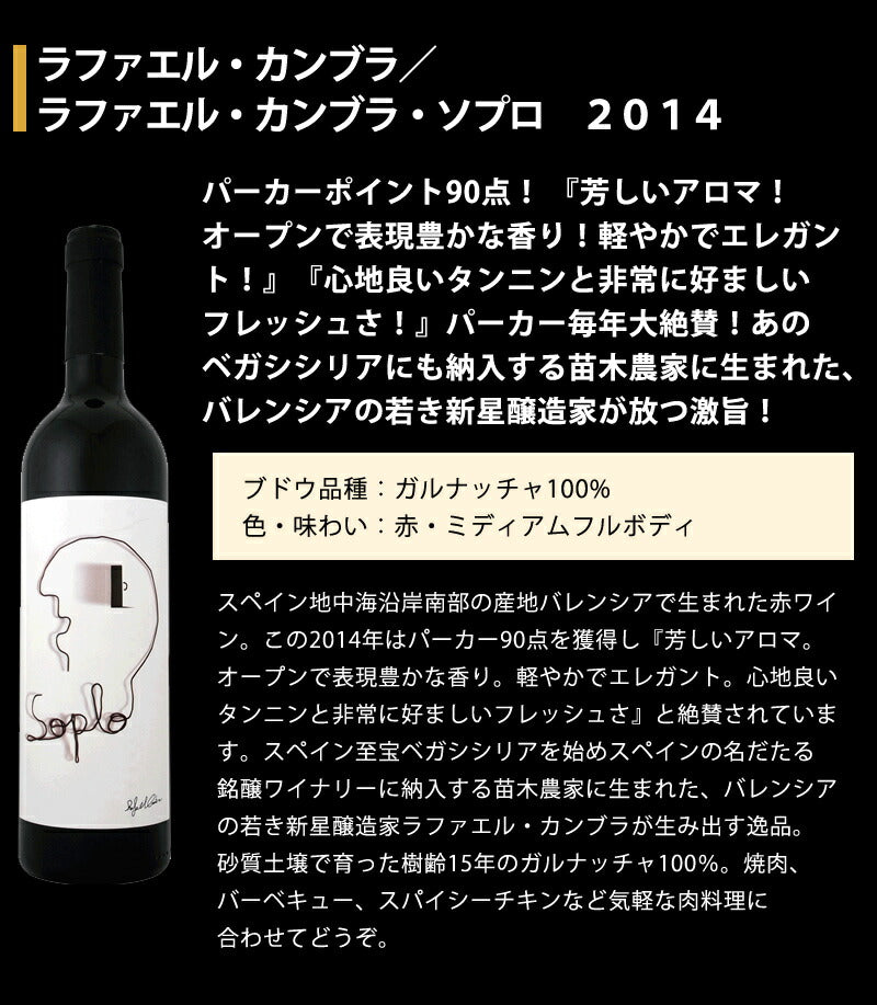 【送料無料】コスパ抜群！ 当店厳選 欧州赤ワイン 750ml×6本セット【北海道・東北・九州・四国・沖縄県は必ず送料が掛かります】