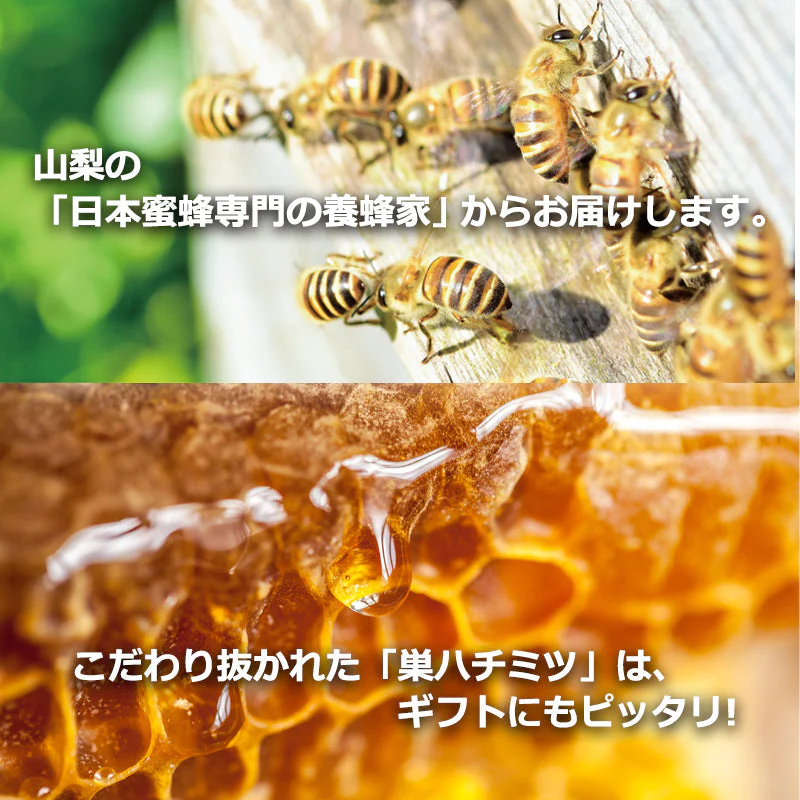 【産地直送】日本ミツバチの巣蜜 約100g