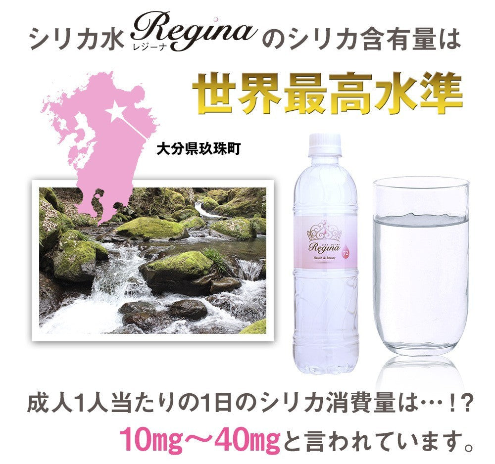 【最安値挑戦祭】シリカ水 525ml 40本 シリカウォーター 天然水 天然シリカ ミネラルウォーター 美ウォーター ケイ素水 水 軟水 レジーナ 国産 大分県産