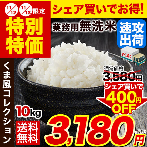 【熊本コレクション】業務用 無洗米 10kg (5kg×2) 送料無料【無洗米の最安値に挑戦中】コメ お徳用 無洗米 白米 非常食 保存食 業務用 訳あり わけあり 米 コメ 白米 精米 《1-5営業日以内に出荷(土日祝日除く)》