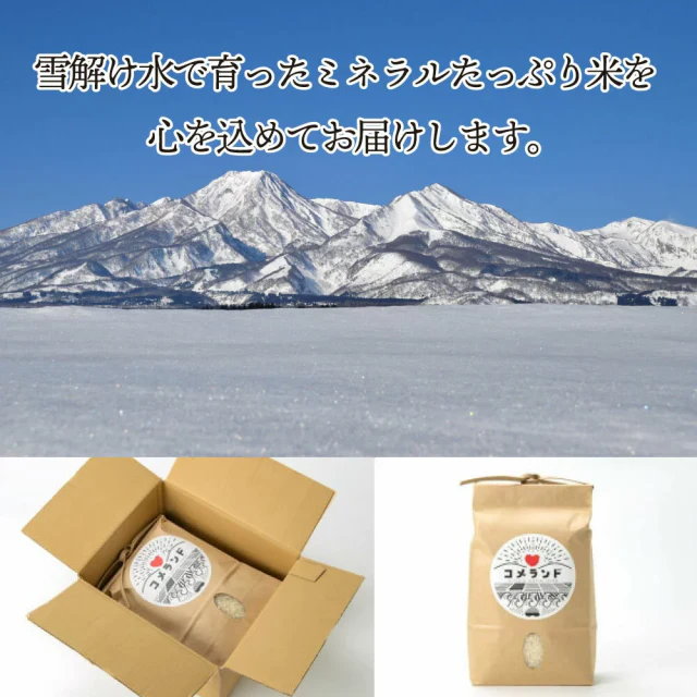 【3人シェア買いでお得】10kg 令和3年産 新潟こしひかり