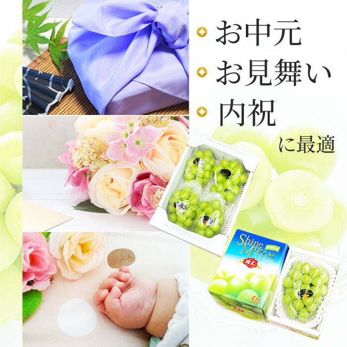 【5人シェア買いで5%OFF】シャインマスカット【9月上旬順次発送】送料無料 岡山産 シャインマスカット 晴王 優品2房 900g〜1kg ぶどう