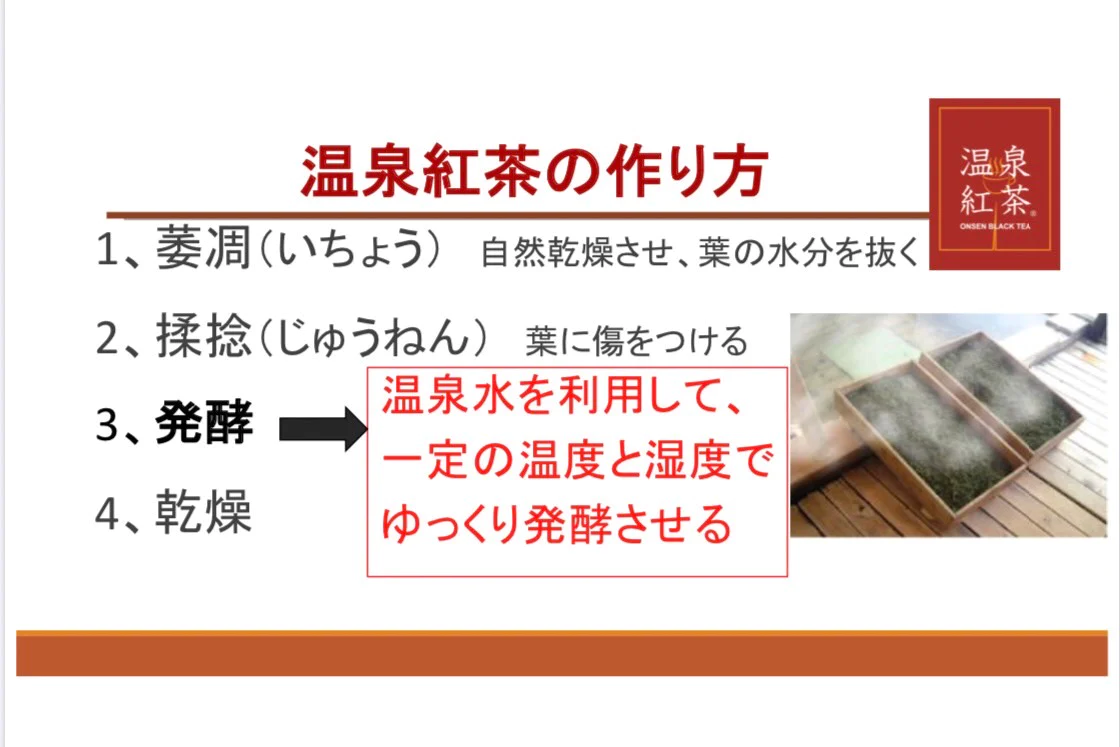 【送料無料】水出し温泉紅茶　スティックタイプ5g×15個　和紅茶　国産紅茶　熊本県産　べにふうき茶葉100%　温泉水活用発酵　発酵食品　無糖　無添加