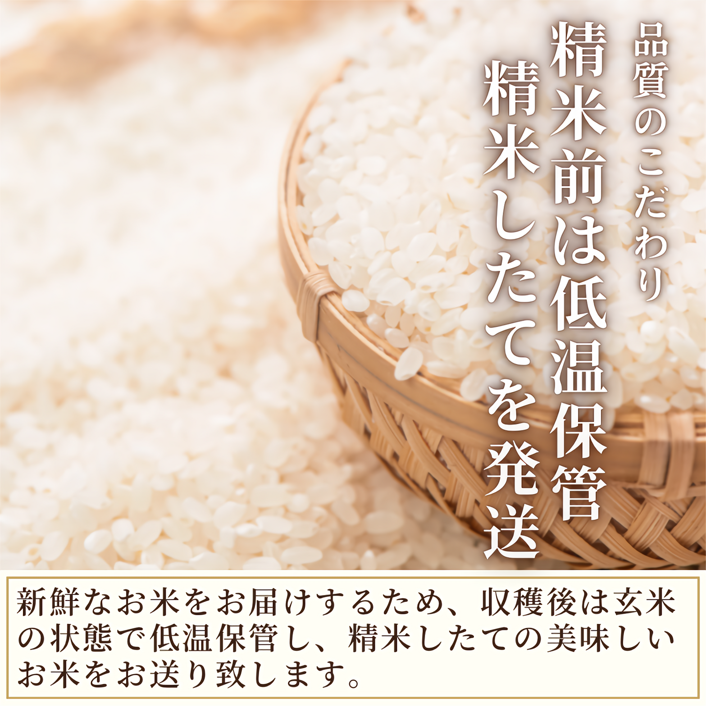【送料無料】あきたこまち 精米 10kg（5kg袋×2） 令和4年産 青森県産 単一原料米 産地直送 国産 健康 米 お米 白米 ご飯 新米