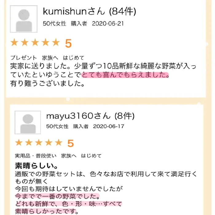 【超シェア買い祭】送料無料 野菜セット 10品セット おまかせ野菜セット 野菜詰め合わせ お試し野菜セット 西日本野菜セット フードロス 岡山 複袋 福袋 送料込 も ったいない 人気 安い 野菜宅配 おすすめ プレゼント ギフト 実用的 父の日 ギフト 福袋 お正月【エコ得】