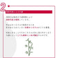 【送料無料】JINRO ジンロ 眞露 ペット 25度 1800ml 1.8L×2ケース/12本【北海道・沖縄県・東北・四国・九州地方は必ず送料がかかります】
