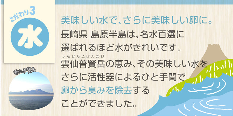 雲仙たまご10個×11