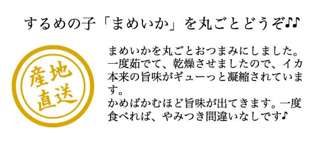 100g 国産 まめいか