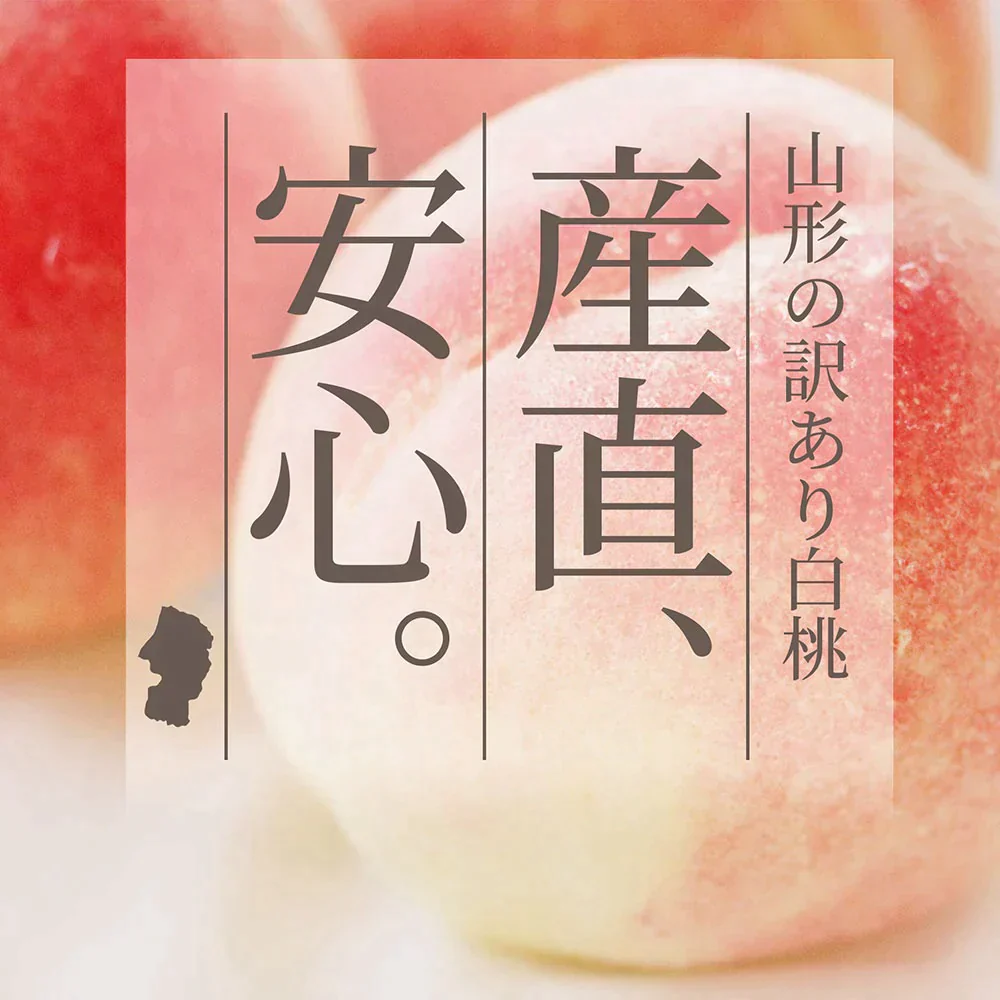 【8月上旬発送】 訳あり 山形 白桃 ２ｋｇ（６～１０玉前後）クール便 ！ちょっと訳あり桃 固い桃 柔らかい桃 を時期に応じてお届け 硬い桃 【品種指定不可】桃 送料無料 果物 フルーツ