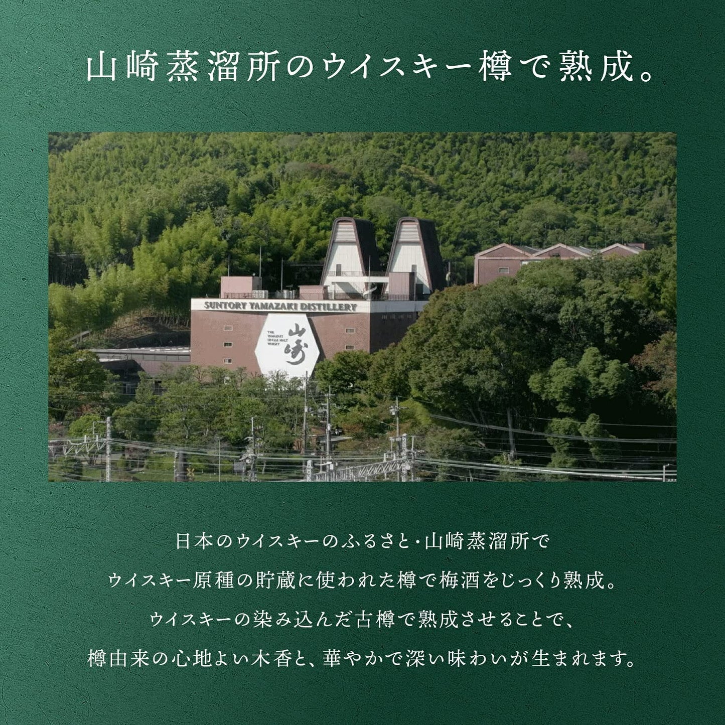 【送料無料】 数量限定品 【山崎樽梅酒ブレンド】 サントリー梅酒 スモーキー樽仕上げ 2021 750ml×12本【北海道・沖縄県・東北・四国・九州地方は必ず送料がかかります】