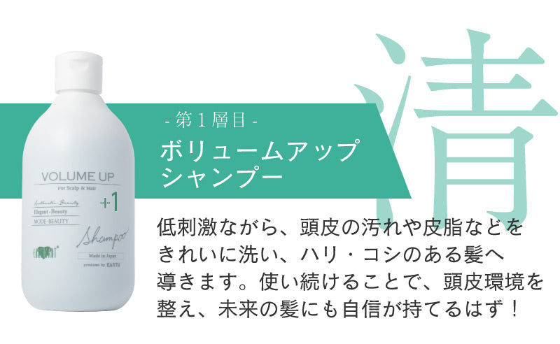 【タイムセール】【詰め替え用】美容室専売品ボリュームアップ シャンプー（500ml詰め替えパウチ）スカルプケア 頭皮環境 サロン専売品 ハホニコ 育毛 女性用 男性用 ユニセックス EARTHEART アースハート