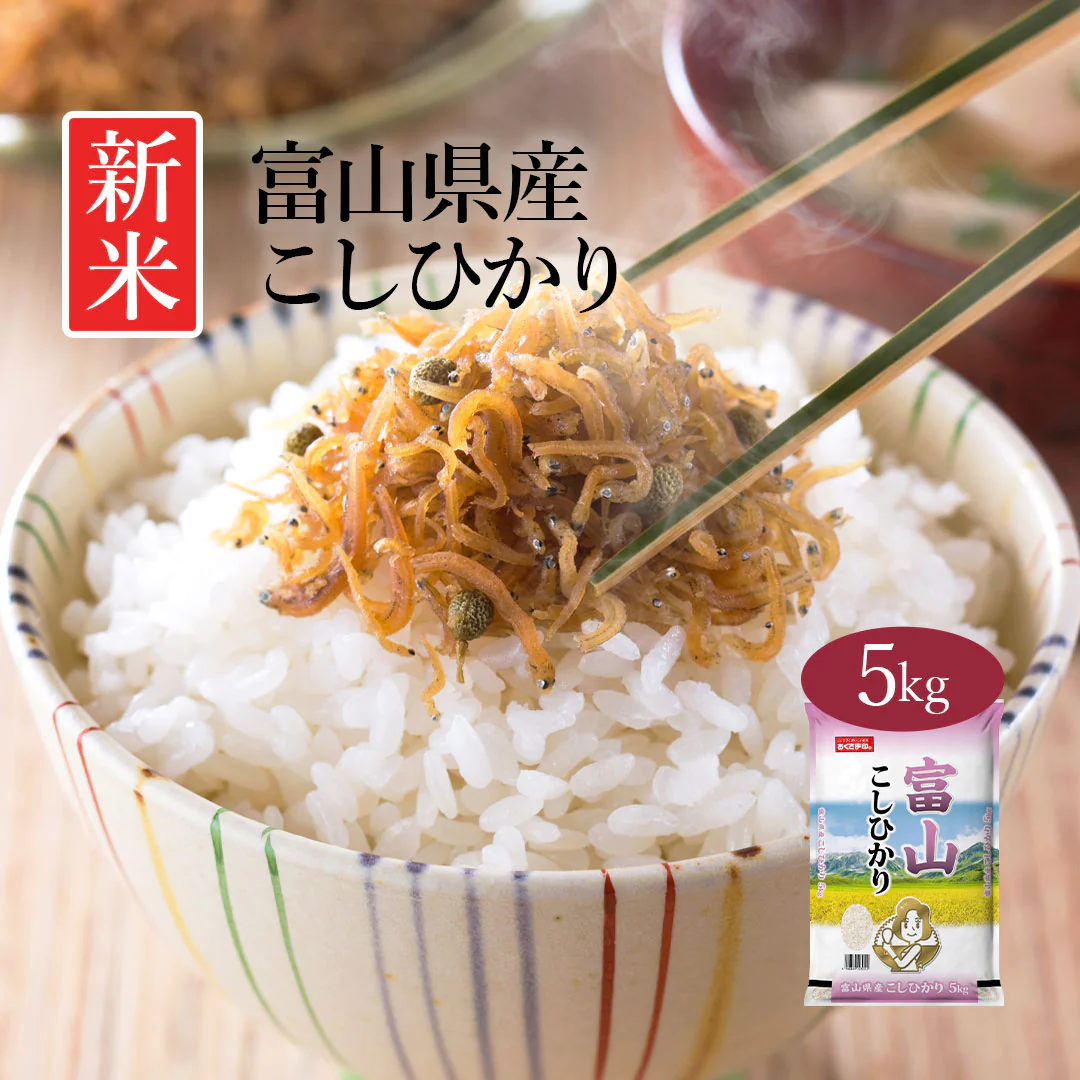 米 富山県産 こしひかり 5kg 令和5年産 新米 お米 白米 おくさま印 国産 食品 ギフト 引っ越し 挨拶 出産 内祝い 母の日 父の日 お中元 お歳暮 結婚 快気 還暦 香典返し 寒中 暑中見舞い お年賀 送料無料