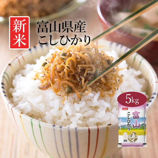 米 富山県産 こしひかり 5kg 令和5年産 新米 お米 白米 おくさま印 国産 食品 ギフト 引っ越し 挨拶 出産 内祝い 母の日 父の日 お中元 お歳暮 結婚 快気 還暦 香典返し 寒中 暑中見舞い お年賀 送料無料