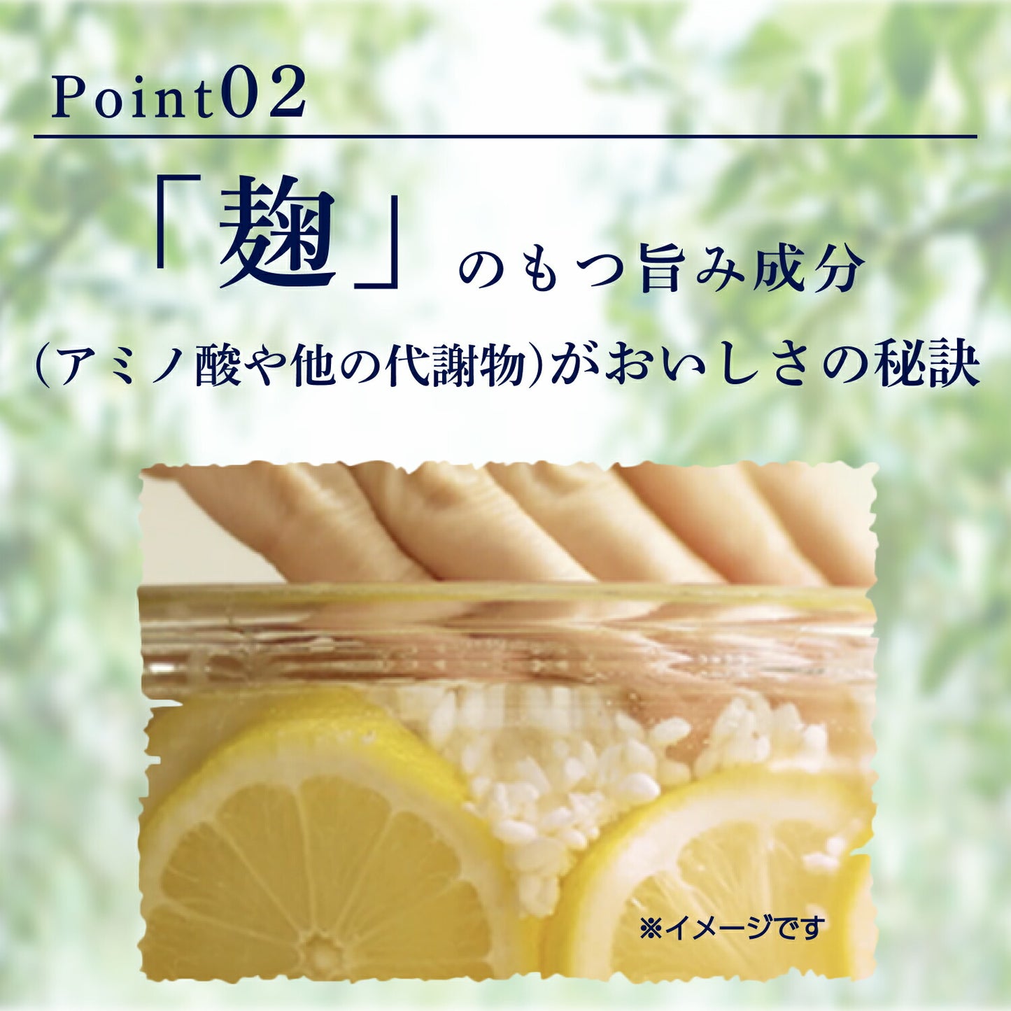 【送料無料】キリン 麹レモンサワー 7％ 350ml×48本【北海道・東北・四国・九州・沖縄県は必ず送料がかかります】