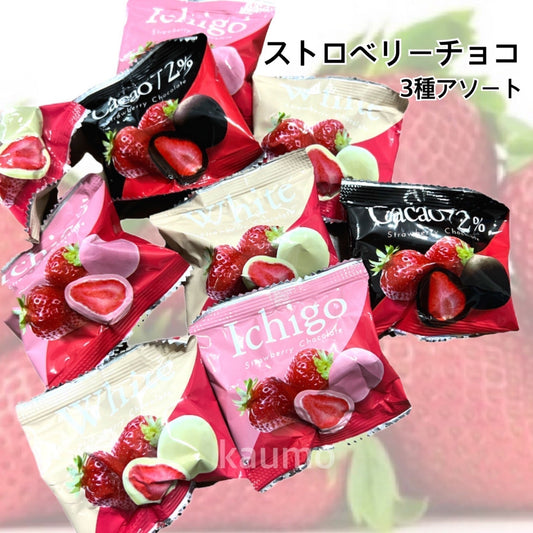 ストロベリーチョコ 3種アソート 9袋 約130g 個包装 国産 チョコ チョコレート スイーツ お菓子