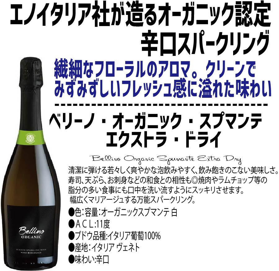 【送料無料】ワイン セット 辛口だけ！衝撃コスパ スパークリング セット  750ml 10本セット辛口 高炭酸 白 ロゼ 泡 ギフト【北海道・東北・四国・九州・沖縄県は必ず送料がかかります】