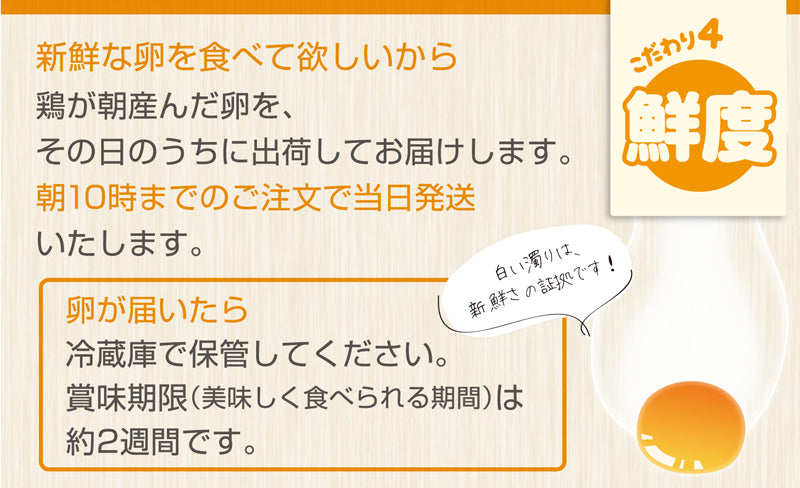 雲仙たまご10個×11