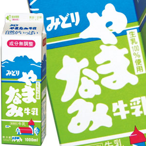 九州乳業 みどり やまなみ牛乳 1000ml紙パック×12本[賞味期限：製造日より15日]北海道、沖縄、離島は送料無料対象外［送料無料］【2〜3営業日以内に出荷】