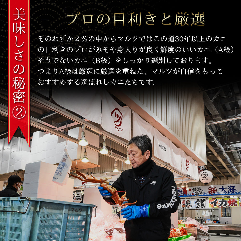 【蟹（かに　カニ）専門店】【境港直送】職人の塩茹で紅ズワイガニ（大）【訳アリ】【600ｇ前後×3枚】