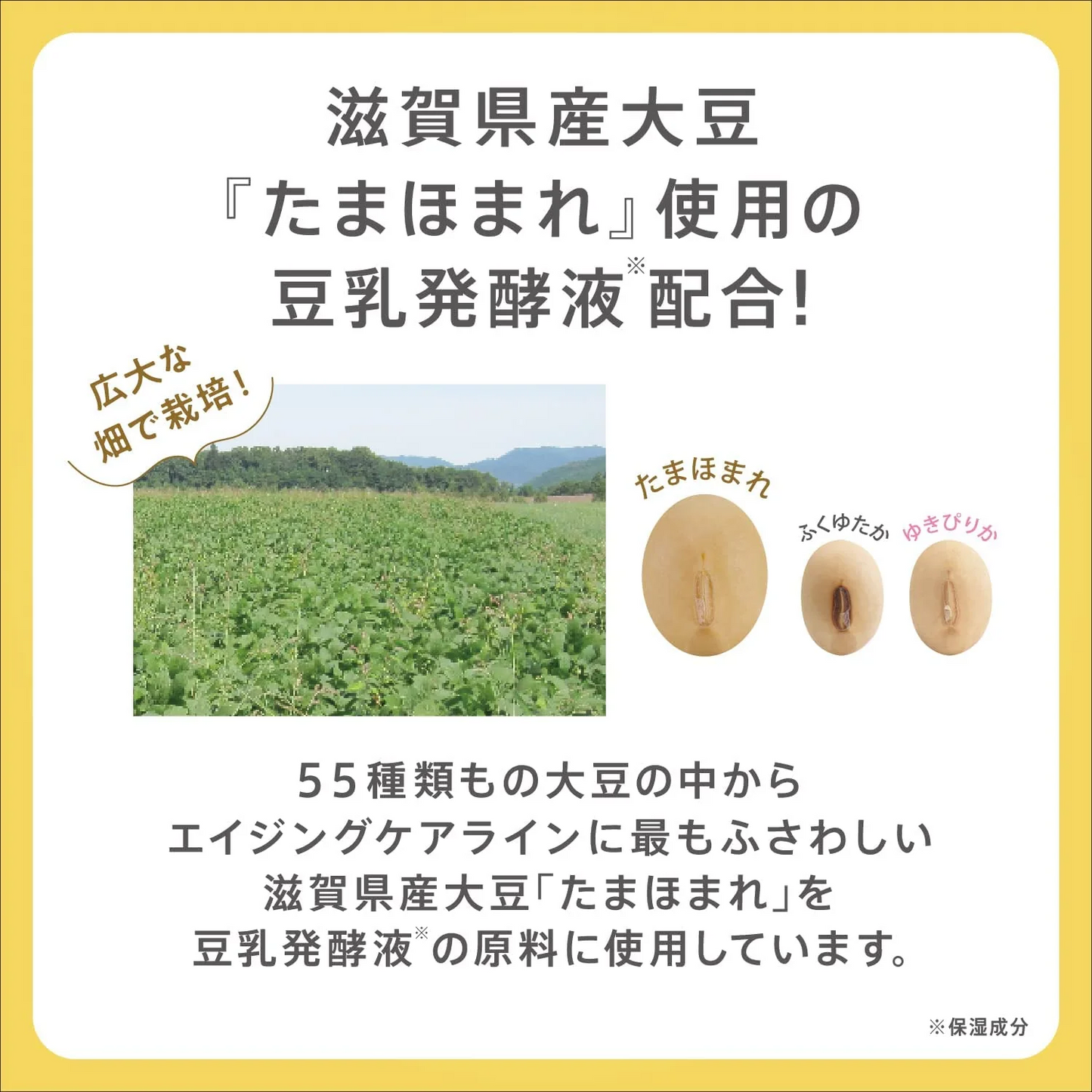 なめらか本舗 リンクルジェルクリーム N つめかえ用 100g