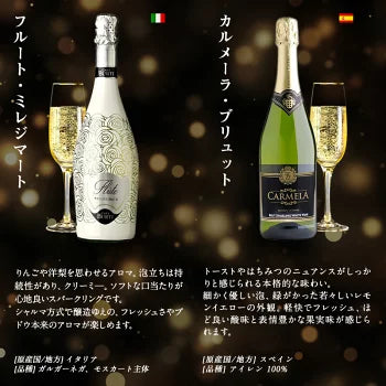 厳選 金賞入り 高品質 全部 辛口 スパークリング ワイン 12本 飲み比べ セット ［常温］ 【送料無料】 [W][S] 泡 イタリア スペイン シャンパン製法 瓶内二次発酵 カヴァ スプマンテ オーガニック 入り ギフト おすすめ 飲み比べ【エコ得】