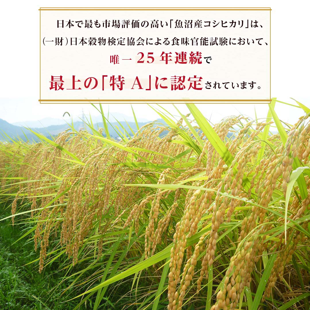 米 精米 新潟県 魚沼産 こしひかり 2kg 令和5年産 新米 お米 白米 おくさま印 国産 食品 ギフト 引っ越し 挨拶 出産 内祝い 母の日 父の日 お中元 お歳暮 結婚 快気 還暦 香典返し 寒中 暑中見舞い お年賀 送料無料