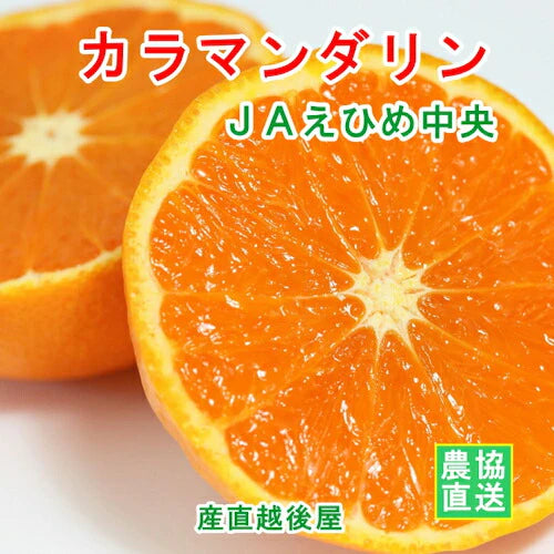 【みかん カラマンダリン 南津海 愛媛県】愛媛県の農協 JAえひめ中央 愛媛のカラマンダリン(南津海） 5kg農協産地直送便でお届け【ギフト 贈り物 プレゼント】