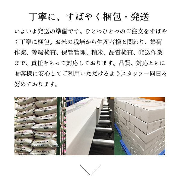 【5人シェア買いで5%OFF】米 10kg 山形産はえぬき 令和3年産 お米 10キロ（本州：送料無料）