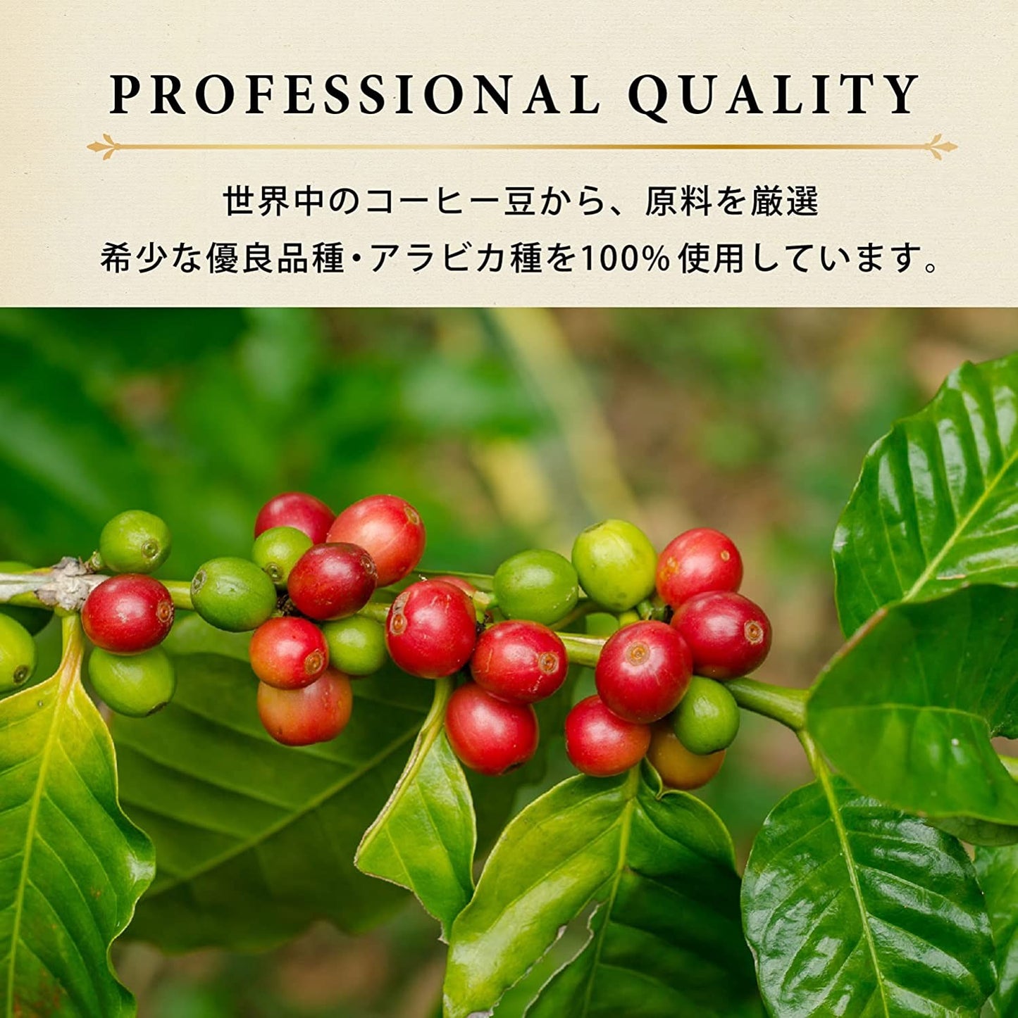 伊藤園 タリーズコーヒー バリスタズ ロースト マイルド ドリップコーヒー 5袋入 1個【10個まで1個口配送可能】