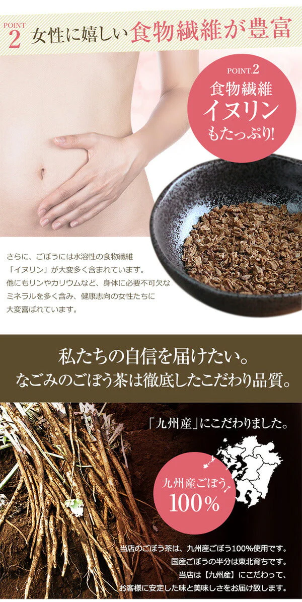 【超シェア買い祭】ごぼう茶 国産 ティーバッグ 30包 【送料無料】 九州産 ティーパック ゴボウ茶 牛蒡茶 健康茶 香味焙煎 食物繊維 ごぼうちゃ 温活 サポニン イヌリン お試し【エコ得】
