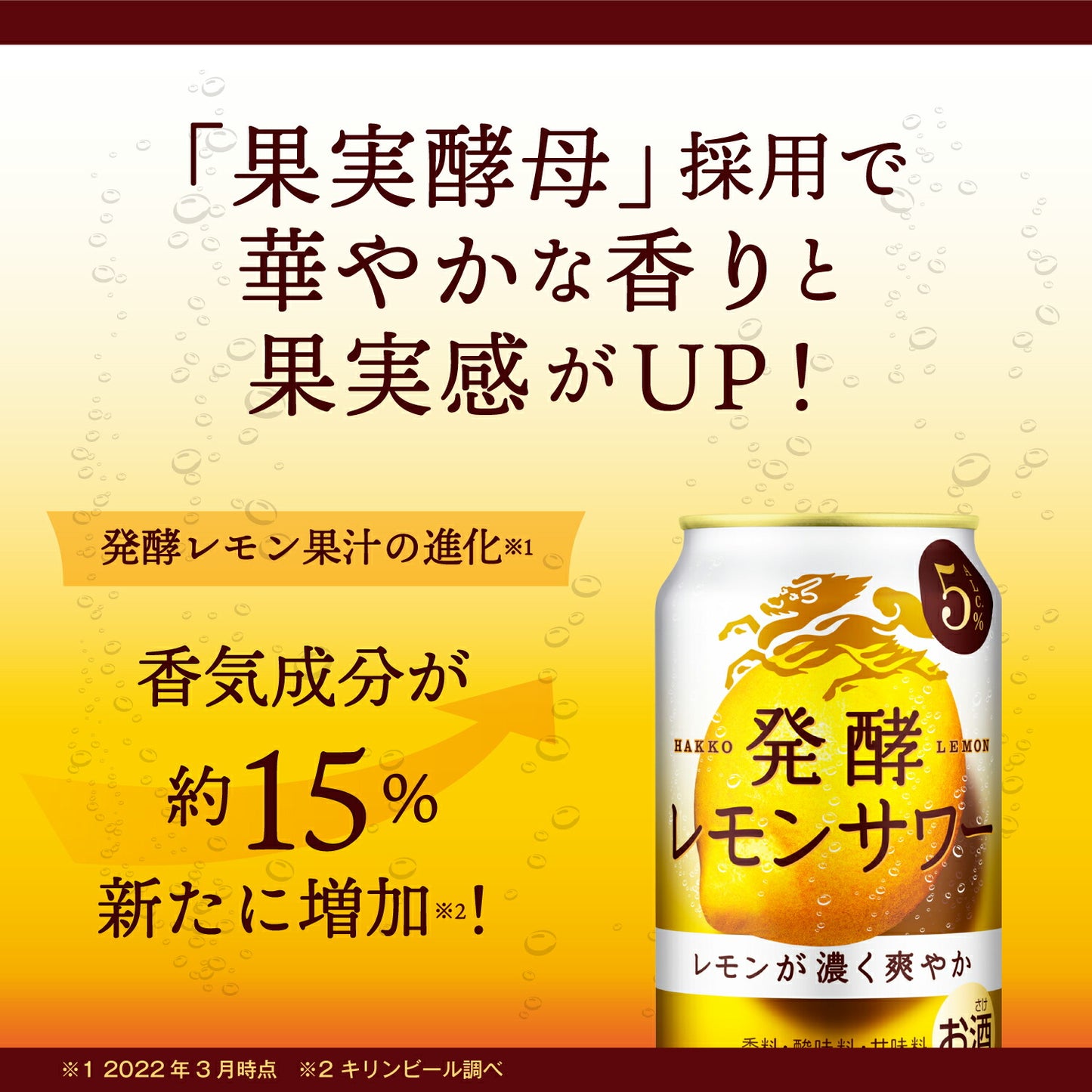 キリン 麒麟 発酵レモンサワー 5％ 500ml×1ケース/24本【ご注文は2ケースまで1個口配送可能】
