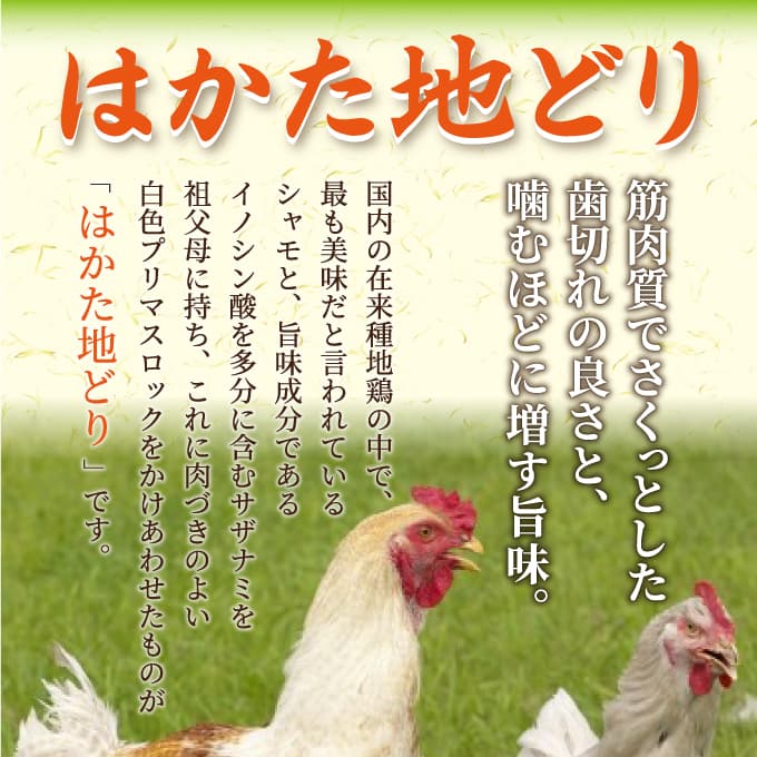 はかた地鶏モモムネセット2ｋｇ（1ｋｇ×2ｐ）肉 ギフト 送料無料 地鶏 焼き鳥 業務用 冷凍 鶏肉 お取り寄せ お取り寄せグルメ 北海道と沖縄を除き 【送料無料】
