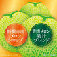 【送料無料】アサヒ飲料 三ツ矢 芳醇メロンソーダ 500ml×2ケース/48本