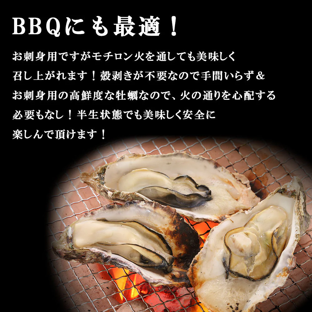生食用殻付き牡蠣　12個入り