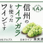 【送料無料】長野県アルプスワイン 信州ナイアガラワイン フルーツワイン 4％ 500ml×12本【北海道・沖縄県・東北・四国・九州地方は必ず送料がかかります】