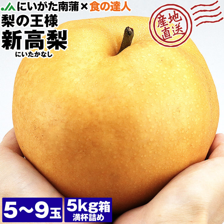 【20人シェア買いでお得】【10月中旬～11月上旬発送】新高梨 超大玉 5?9玉 新潟県産 5kg箱満杯詰め 梨の王様 和梨 にいたか なし 産地直送 産直 常温便 同梱不可 指定日不可