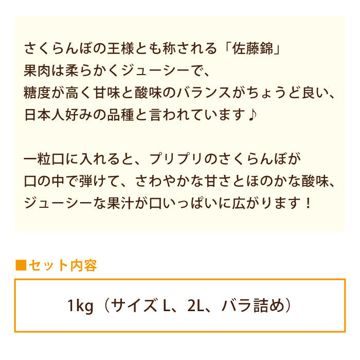 さくらんぼ（佐藤錦）　約1kg（L・2L・ばら詰め）