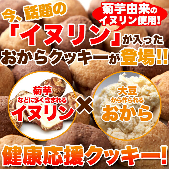 イヌリン入豆乳おからクッキー 500g (チョコ オレンジ) 豆乳 おから オカラクッキー 大量 お菓子 洋菓子 おやつ 焼菓子 イヌリン クッキー プチ