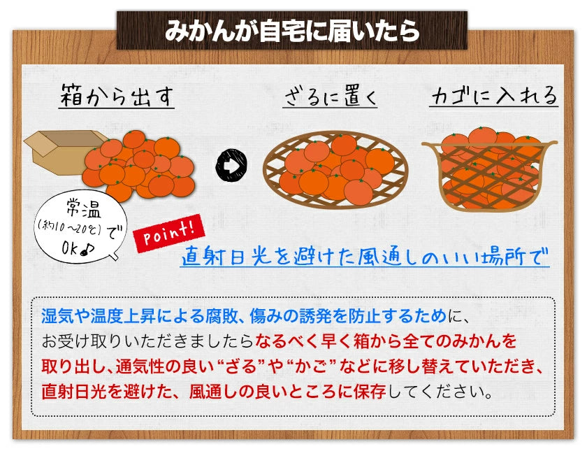 【販売解禁】訳あり 甘熟 ポンカン 5kg 送料無料  甘い みかん ぽんかん デコポン の生みの親 箱買い みかん 柑橘 旬の果物 くまもと風土 熊本県産 みかん【最安値に挑戦】2月上旬-2月末頃より発送予定