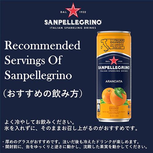 【送料無料】サンペレグリノ イタリアンスパークリングドリンクアランチャータ (オレンジ)330ml×1ケース/24本