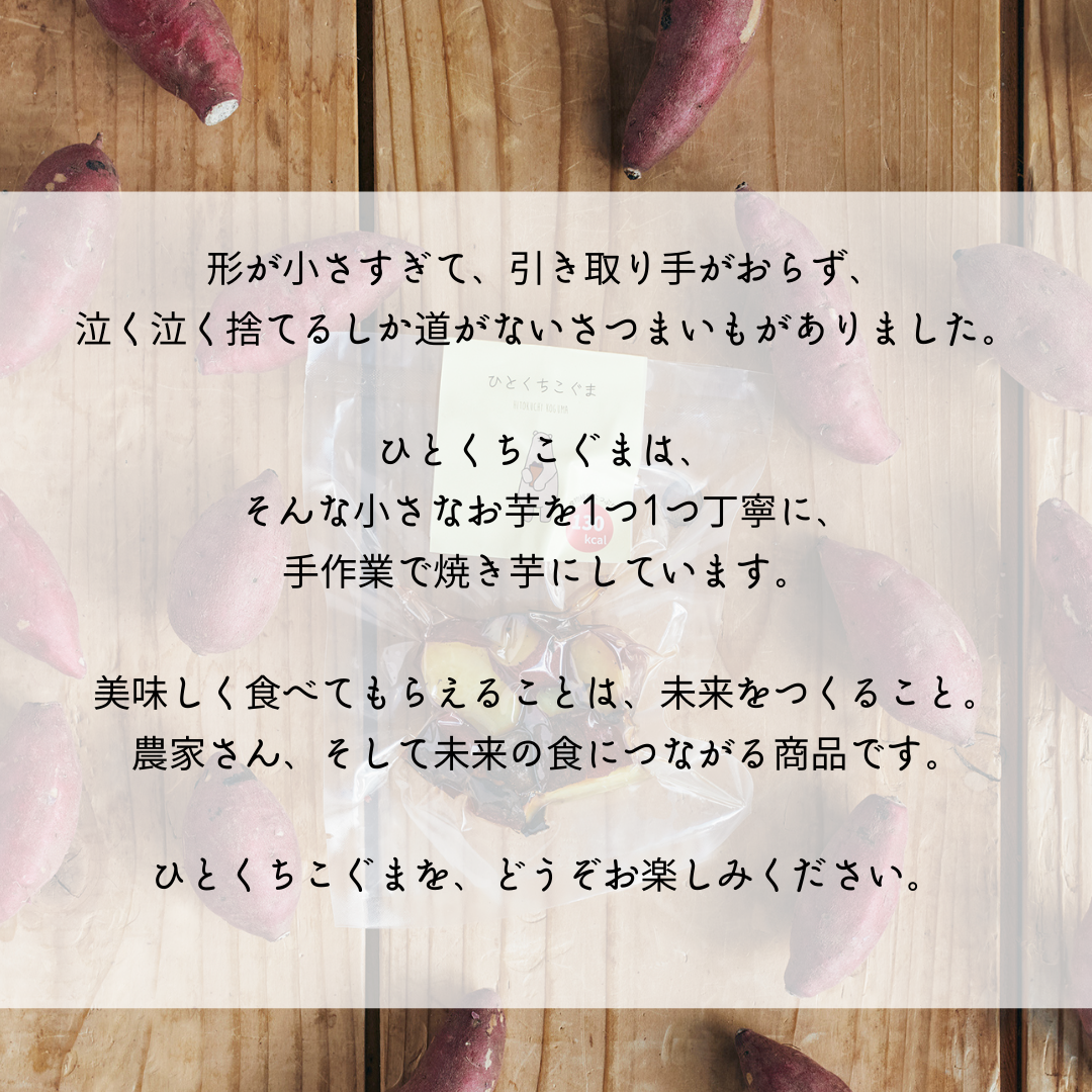 ひとくちこぐま-お得なバラエティパック-