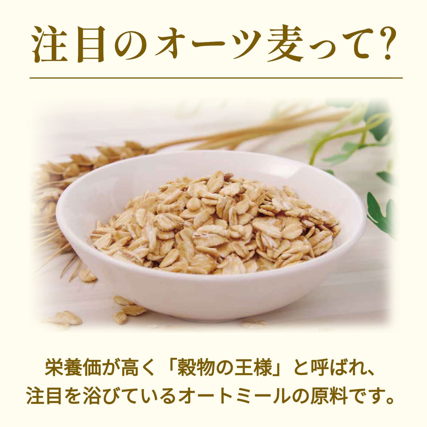 【送料無料】伊藤園 ミネラル麦茶 オーツ麦ブレンド 650ml×24本