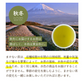 【超得ハイパーSALE】静岡県産緑茶 ティーライフのまかない茶 100個入