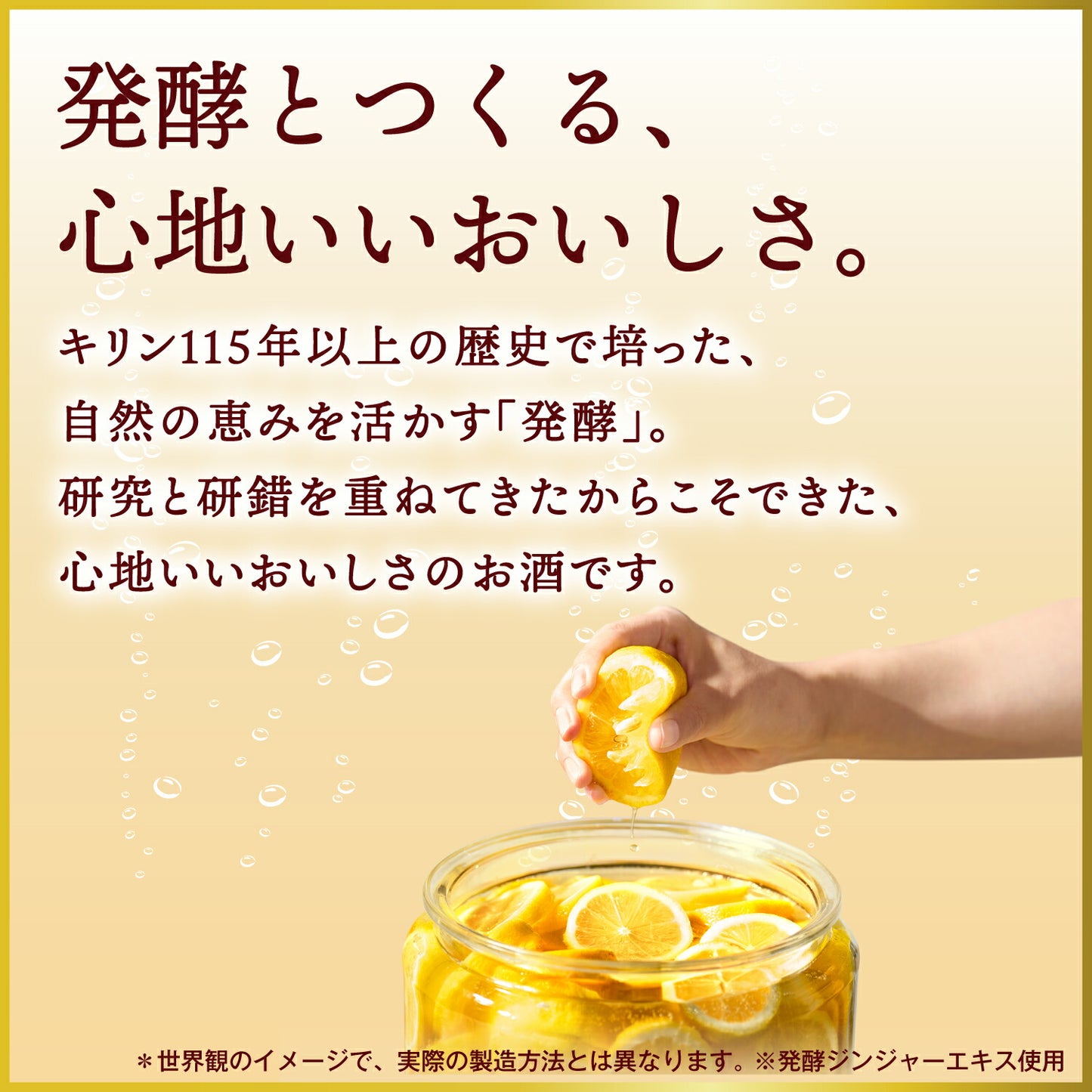 【送料無料】キリン 麒麟発酵ジンジャーサワー 6％ 350ml×2ケース/48本【本州(一部地域を除く)は送料無料】