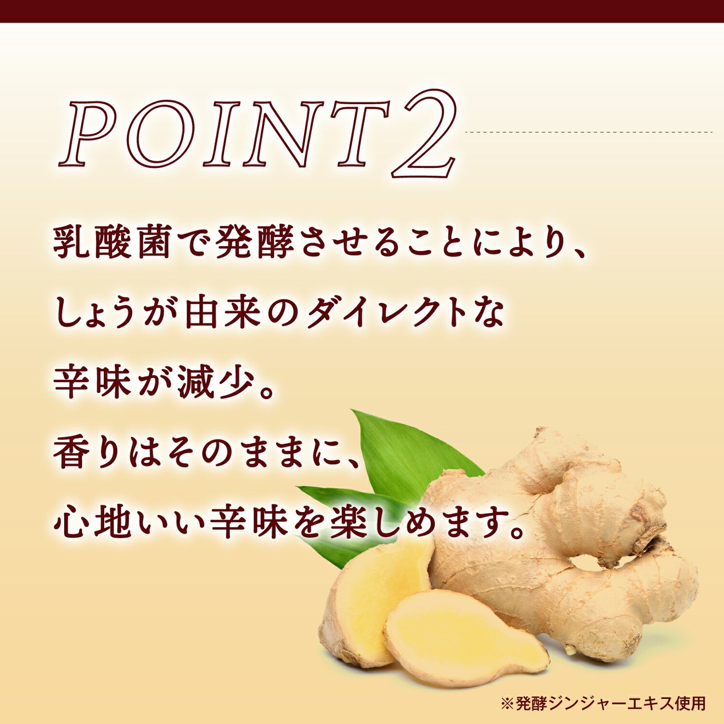 キリン 麒麟発酵ジンジャーサワー 6％ 350ml×1ケース/24本【3ケースまで1個口配送可能】