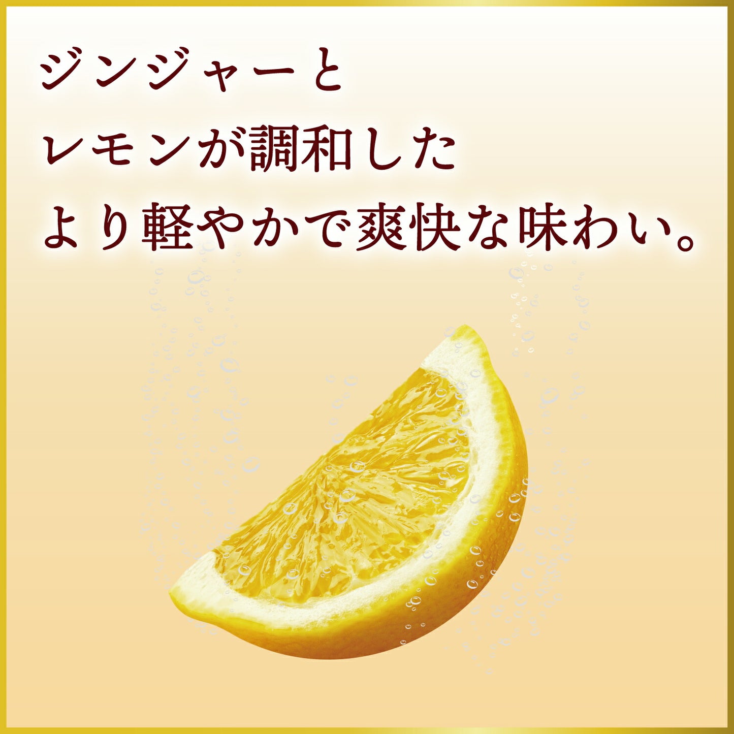 【送料無料】キリン 麒麟発酵ジンジャーサワー 6％ 350ml×2ケース/48本【本州(一部地域を除く)は送料無料】