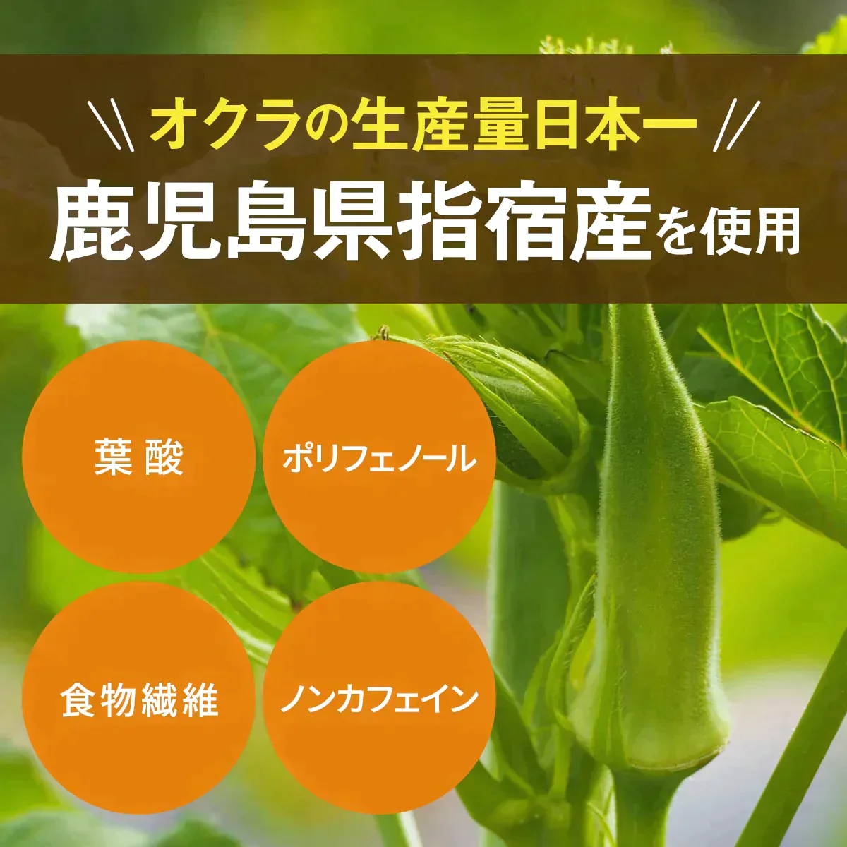 オクラパウダー100 〔(3g×7包)×3〕 粉末野菜