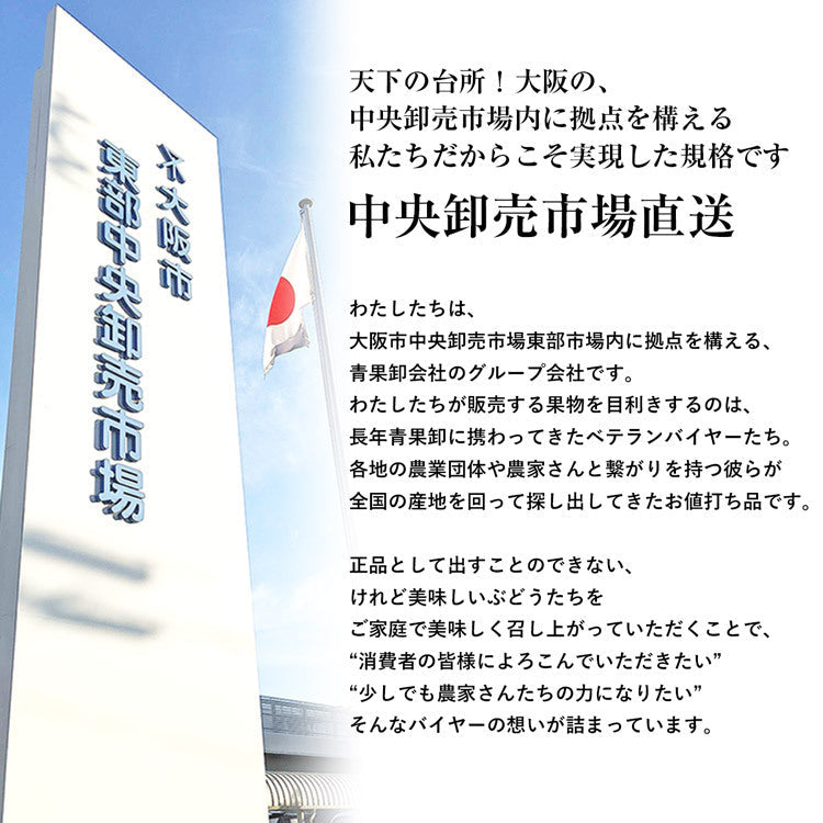 訳あり シャインマスカット 約1kg 2?3房 ご家庭用 お徳用 お買い得 ぶどう 産地厳選 贈答用 ブドウ 種無し 冷蔵便